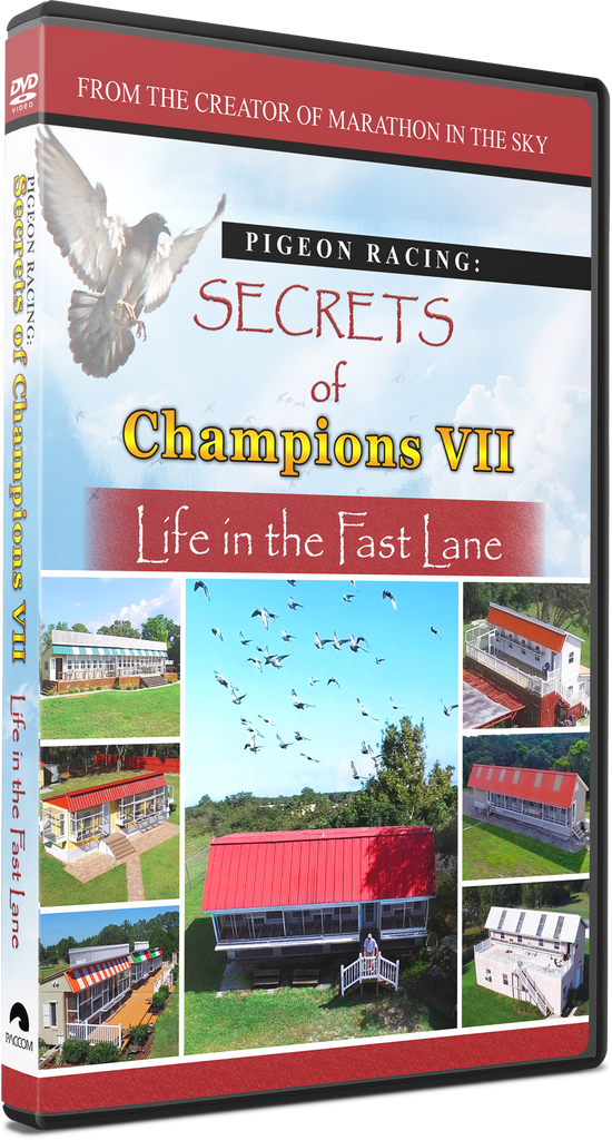 NEWEST FILM!! Secrets of Champions VII: "Life in the Fast Lane" - racing pigeon care keeping films