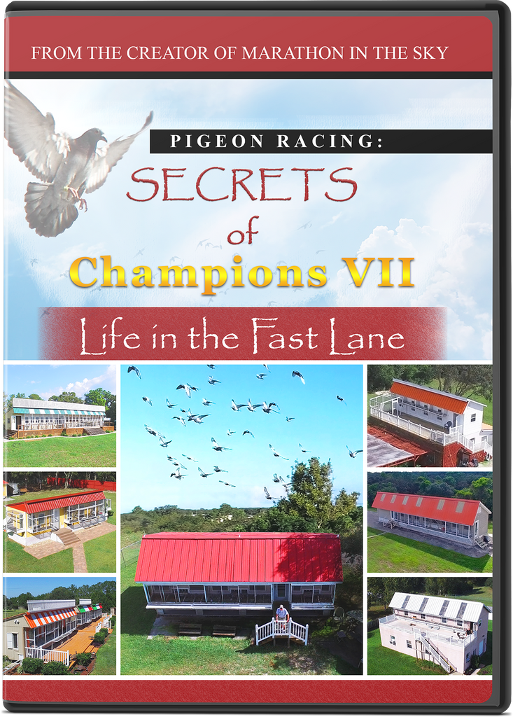 BEHIND THE SCENES  >>>  The Making of Jim Jenner's Newest Film: "SECRETS OF CHAMPIONS VII - Life in the Fast Lane"