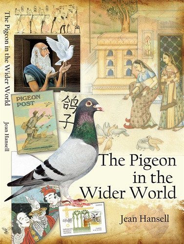 The Pigeon in the Wider World - racing pigeon care keeping films 