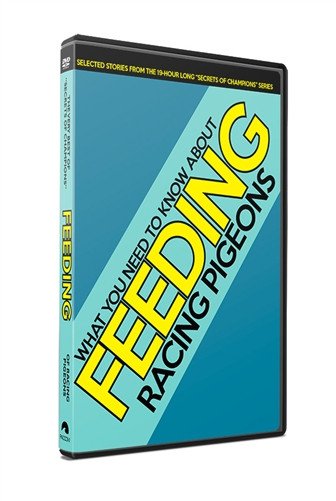 FEEDING – Best of "Secrets of Champions" Racing Pigeon DVD - racing pigeon care keeping films 
