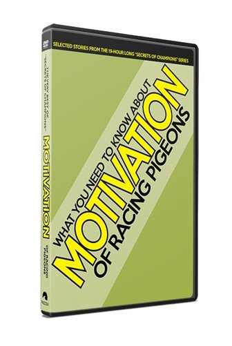 MOTIVATION – Best of "Secrets of Champions" - racing pigeon care keeping films 