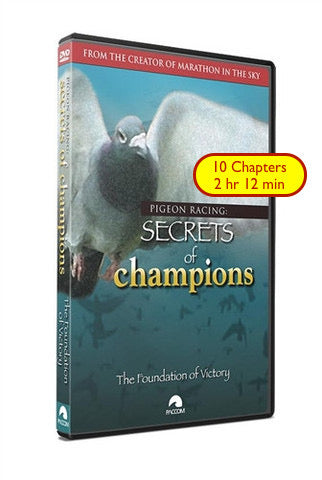 Secrets Of Champions: "The Foundation of Victory" - racing pigeon care keeping films 