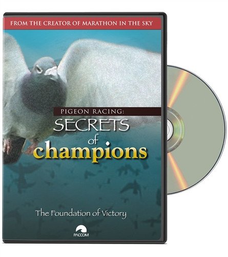 Secrets Of Champions: "The Foundation of Victory" - racing pigeon care keeping films 