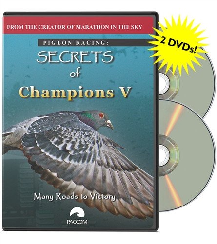 Secrets Of Champions V: "Many Roads to Victory" - racing pigeon care keeping films 