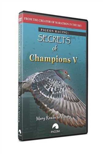 Secrets Of Champions V: "Many Roads to Victory" - racing pigeon care keeping films 