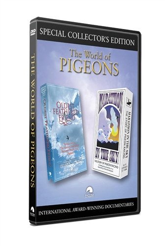 The World of Pigeons - racing pigeon care keeping films 