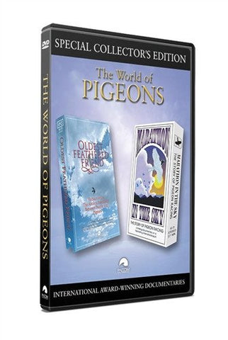 The World of Pigeons - racing pigeon care keeping films 