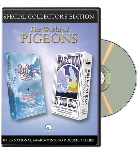 The World of Pigeons - racing pigeon care keeping films 