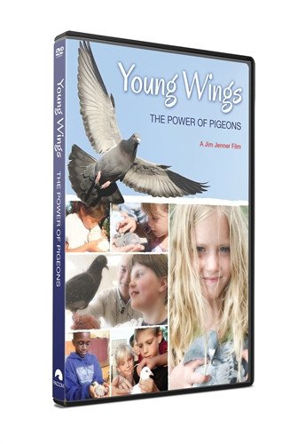 Young Wings - racing pigeon care keeping films 