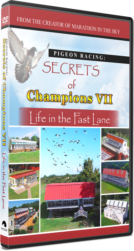 *NEWEST FILM!!   Secrets of Champions VII: "Life in the Fast Lane" - racing pigeon care keeping films 