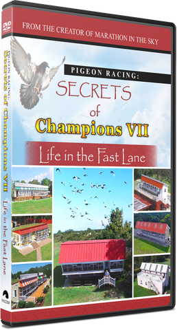 *NEWEST FILM!!   Secrets of Champions VII: "Life in the Fast Lane" - racing pigeon care keeping films 
